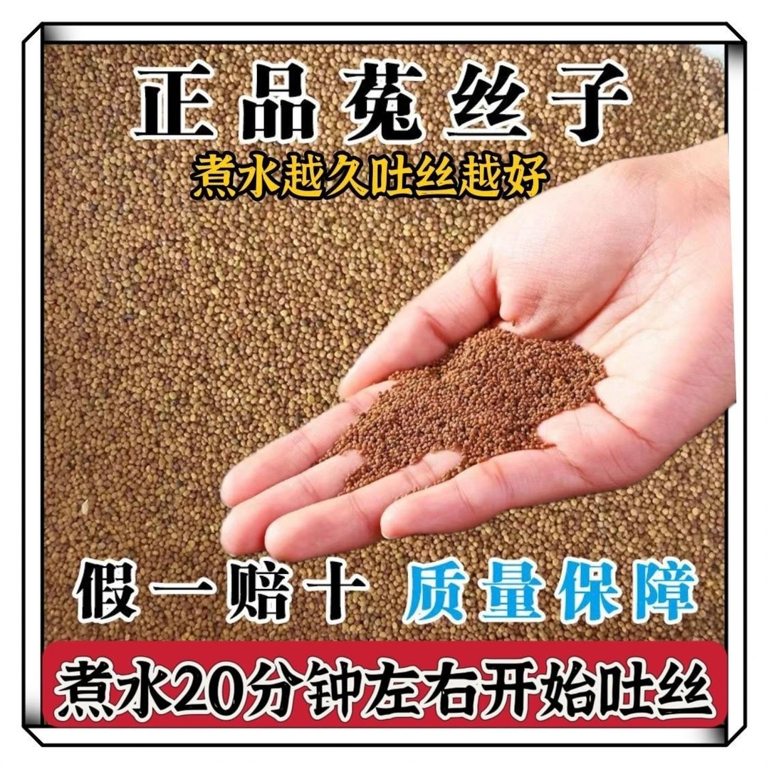 【内蒙特产】正宗野生菟莬丝子高品质小丝籽茶干净无硫熏代煮水泡酒