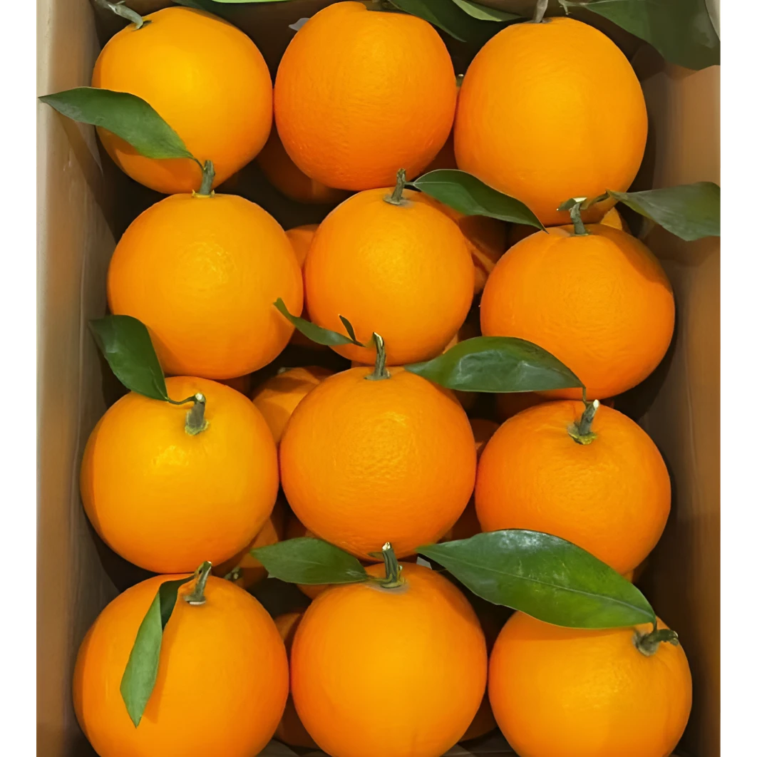正宗赣南脐橙新鲜现摘皮薄多汁无籽无核甜而不腻水果