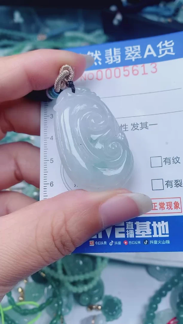 颈饰未镶嵌翡翠00005613