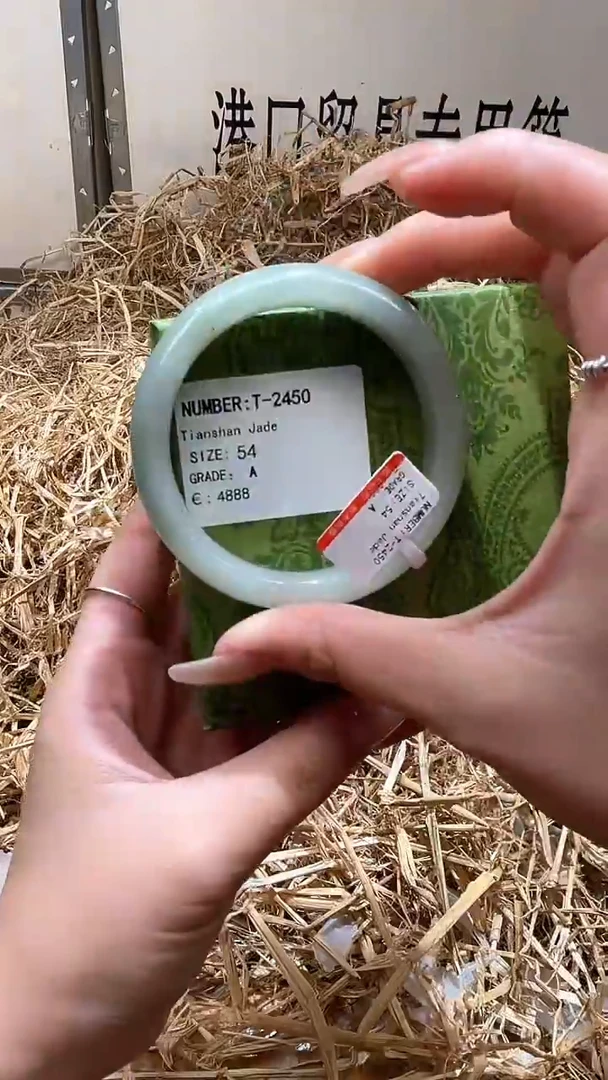 未镶嵌手镯石英质玉T2450LV