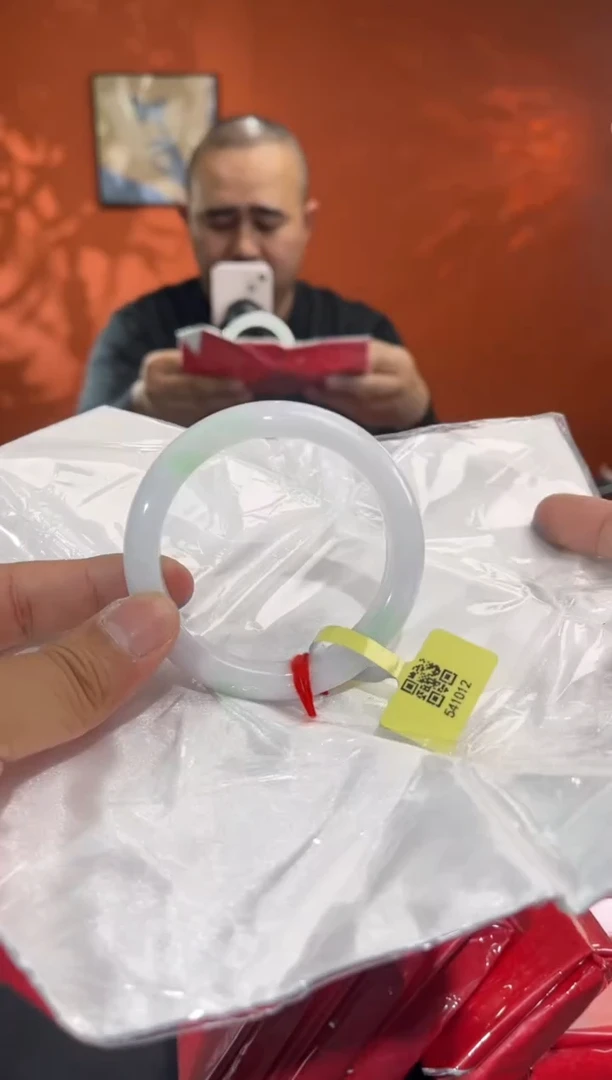 未镶嵌手镯翡翠9