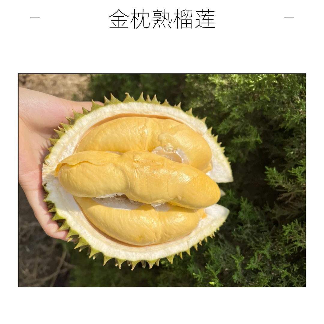 泰国金枕树熟新鲜榴莲双A果500克 【干包黄肉核小 糯 香 甜】金枕泰国