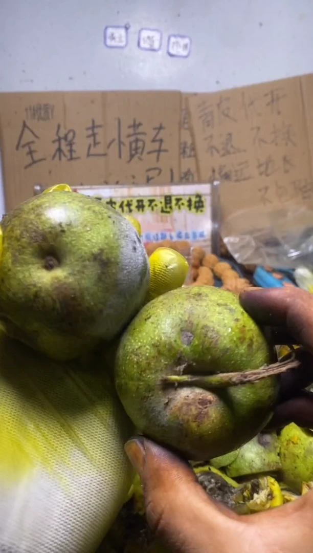 满天星不退不换lyx57