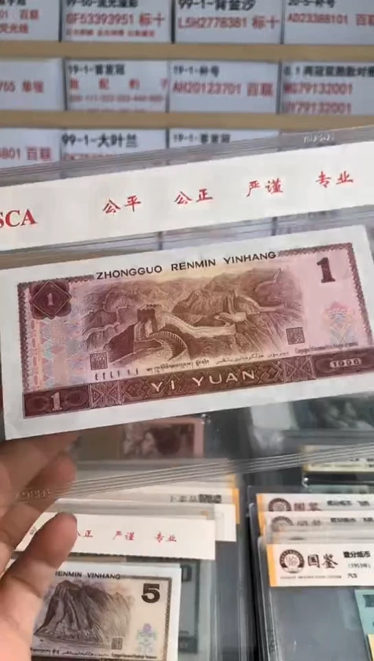 冷****81  UJ19084801