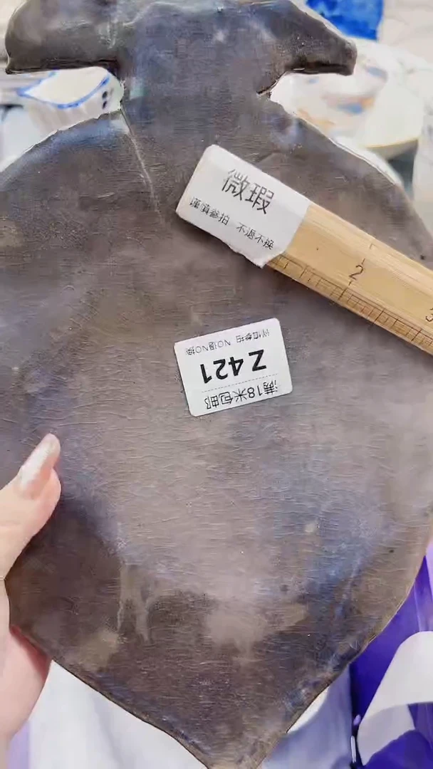 M****地Z421***************