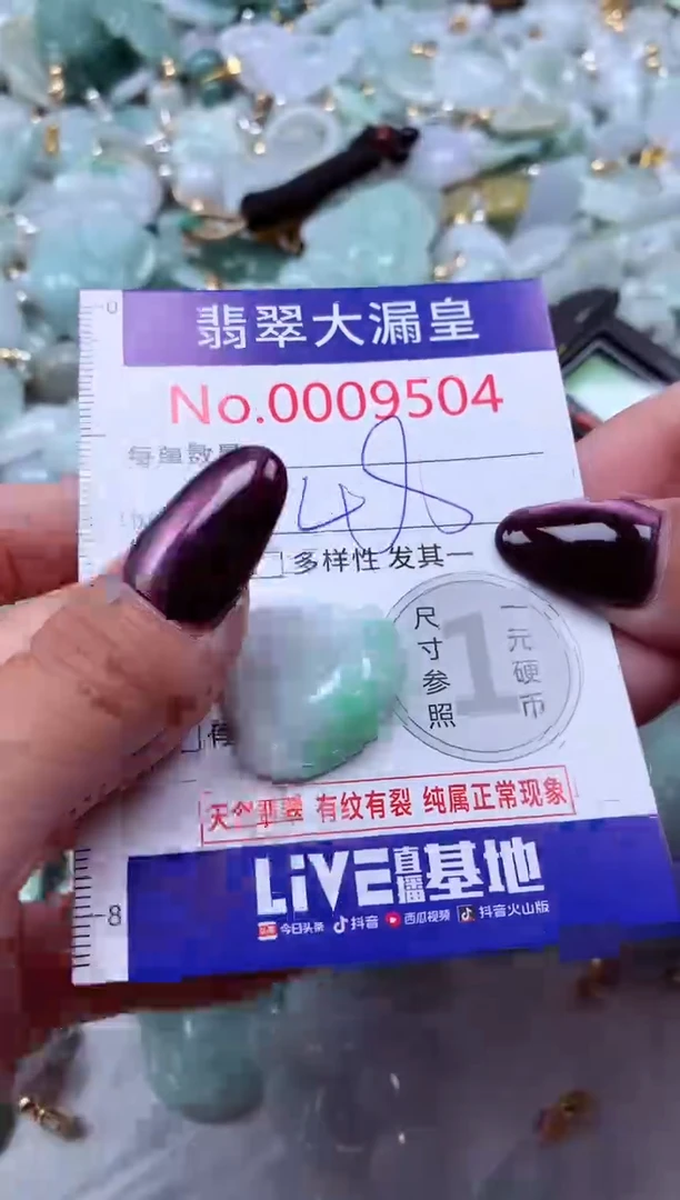 颈饰未镶嵌翡翠9504