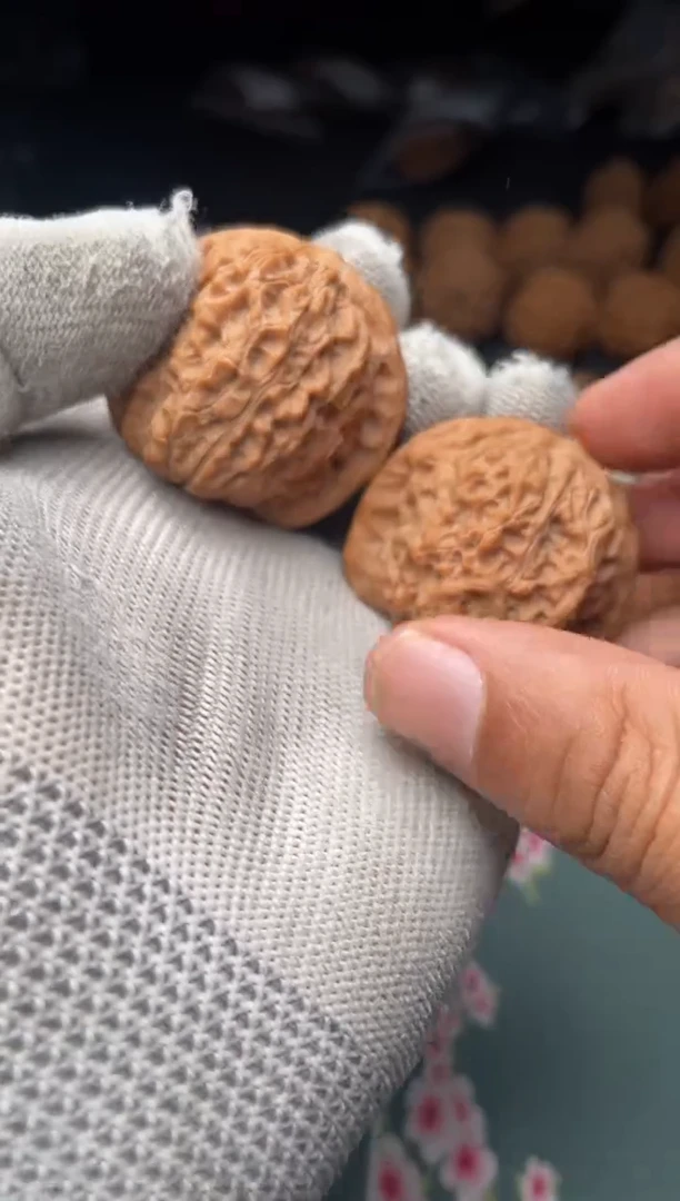 核桃a235  血麒麟 38尺