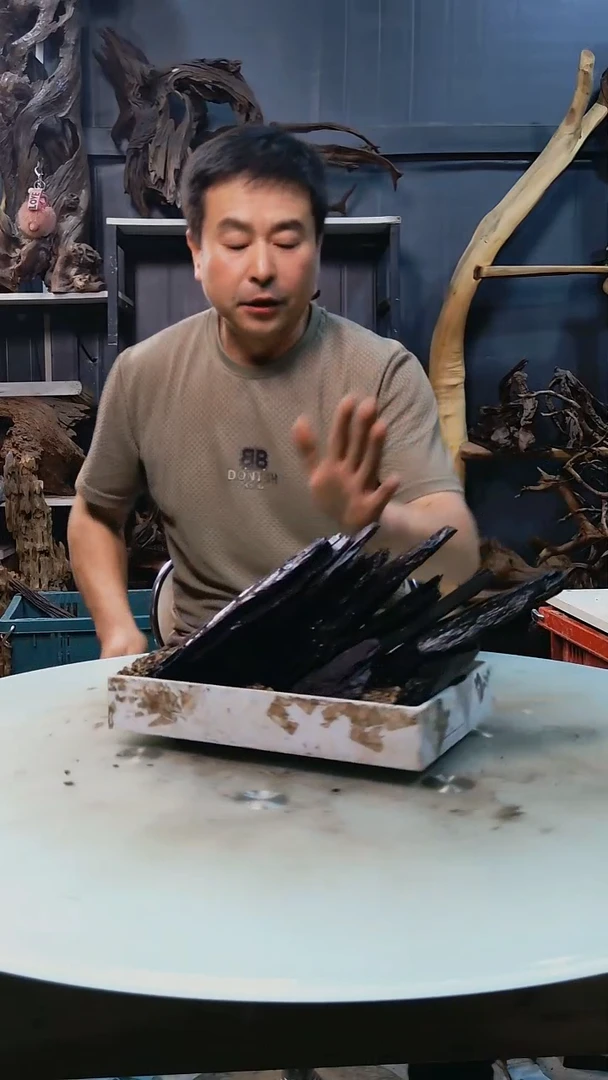 681清香阁清香阁清香阁