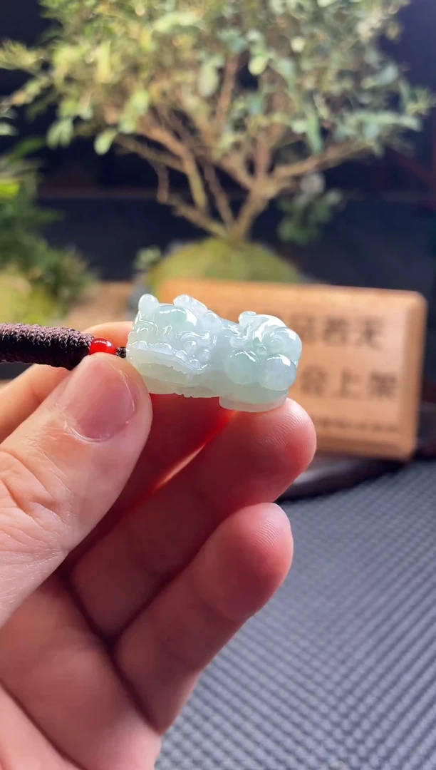 翡翠未镶嵌颈饰貔貅多样性发一件