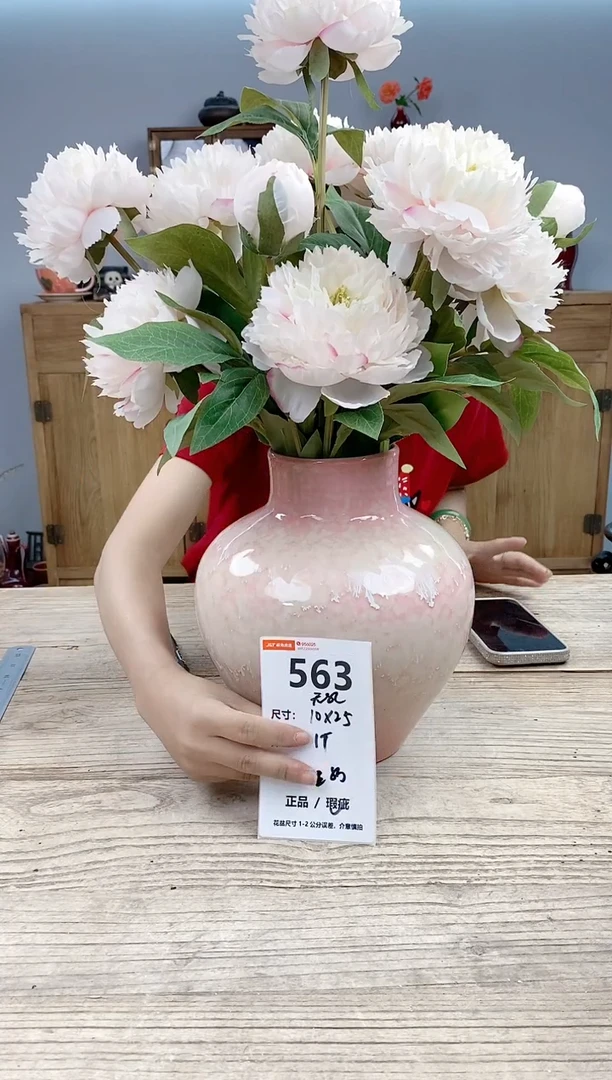 小玩子花盆直播号563