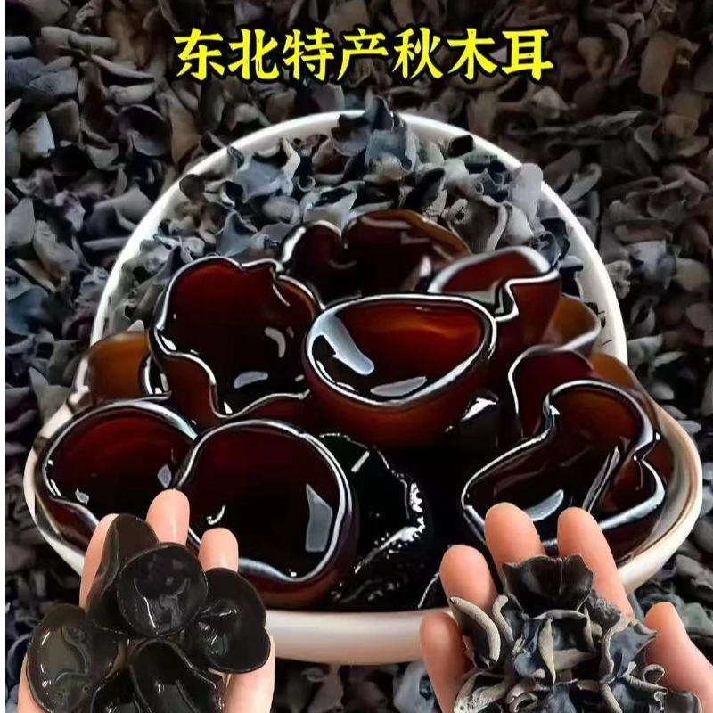 黑龙江秋木耳无根无沙肉厚500g/袋,可试吃100g
