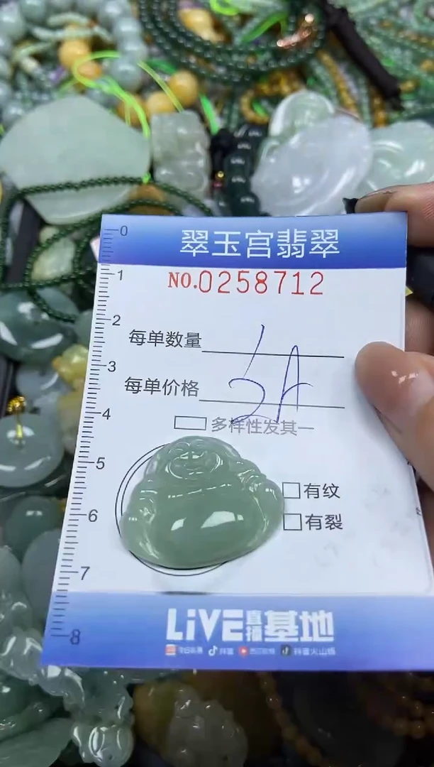颈饰未镶嵌翡翠闪购C0258712