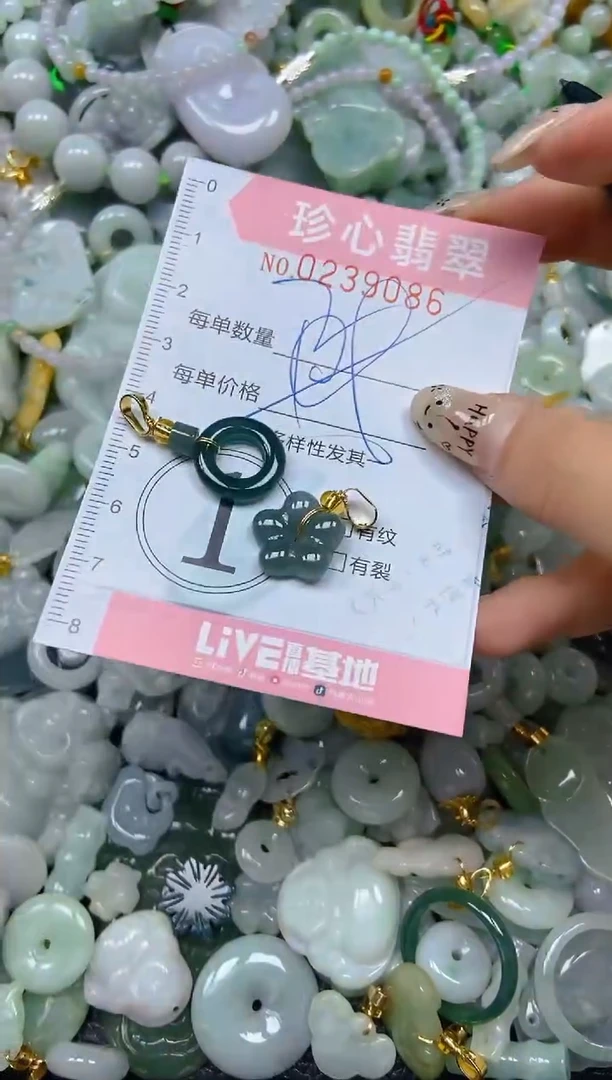 翡翠未镶嵌颈饰闪购0239086多样性发其一