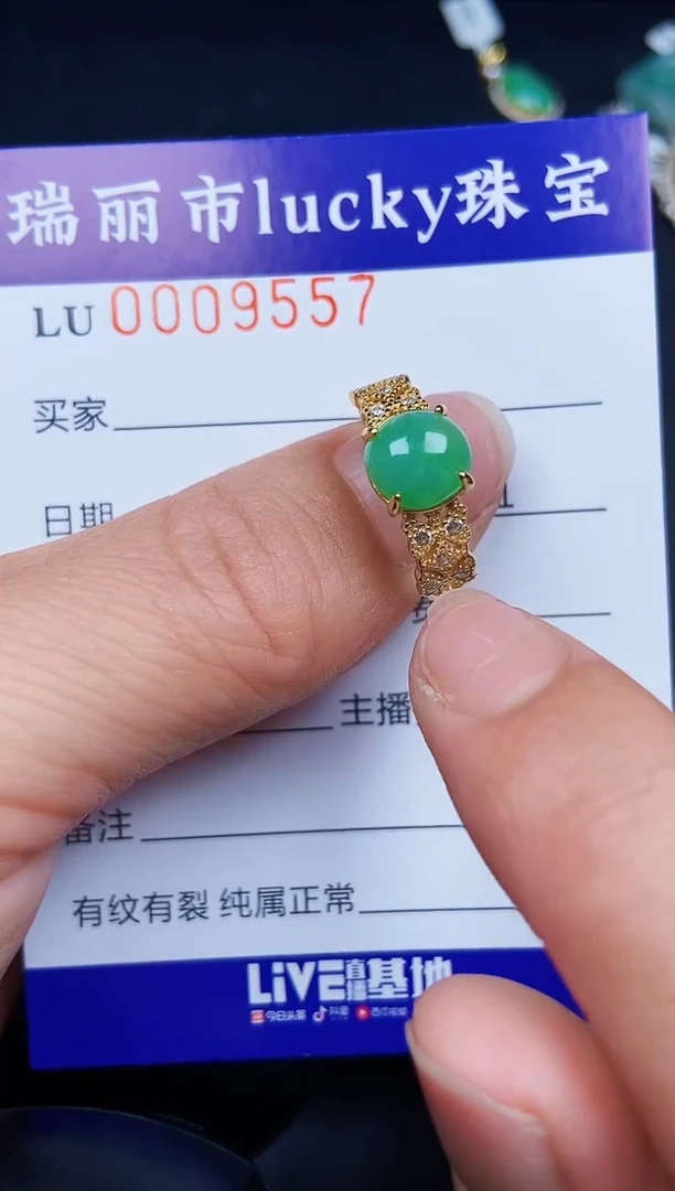 翡翠银S925镶嵌颈饰9557