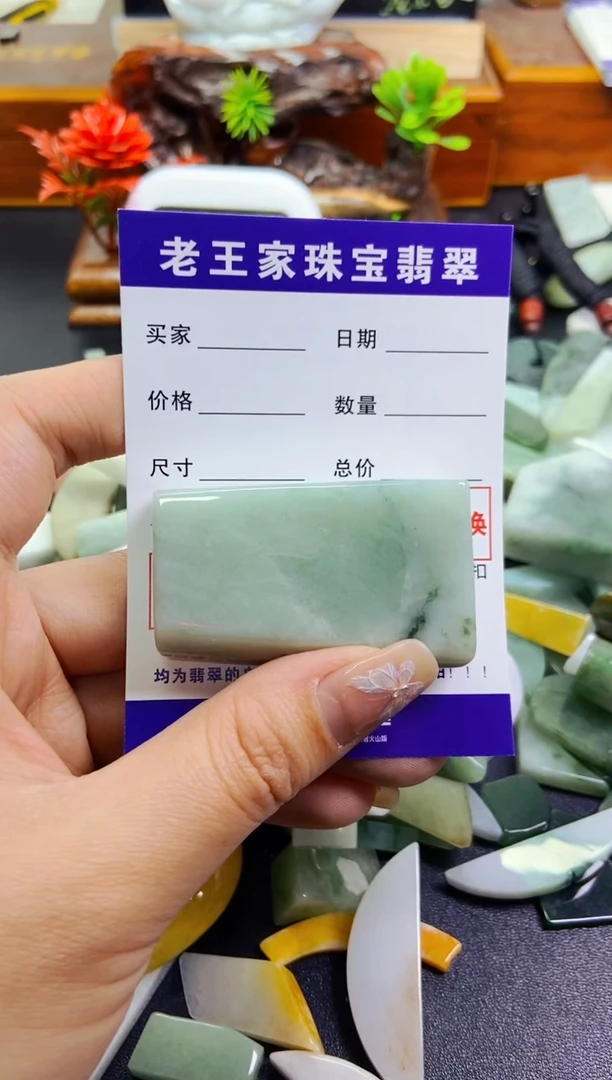【闪购商品】翡翠颈饰未镶嵌料子