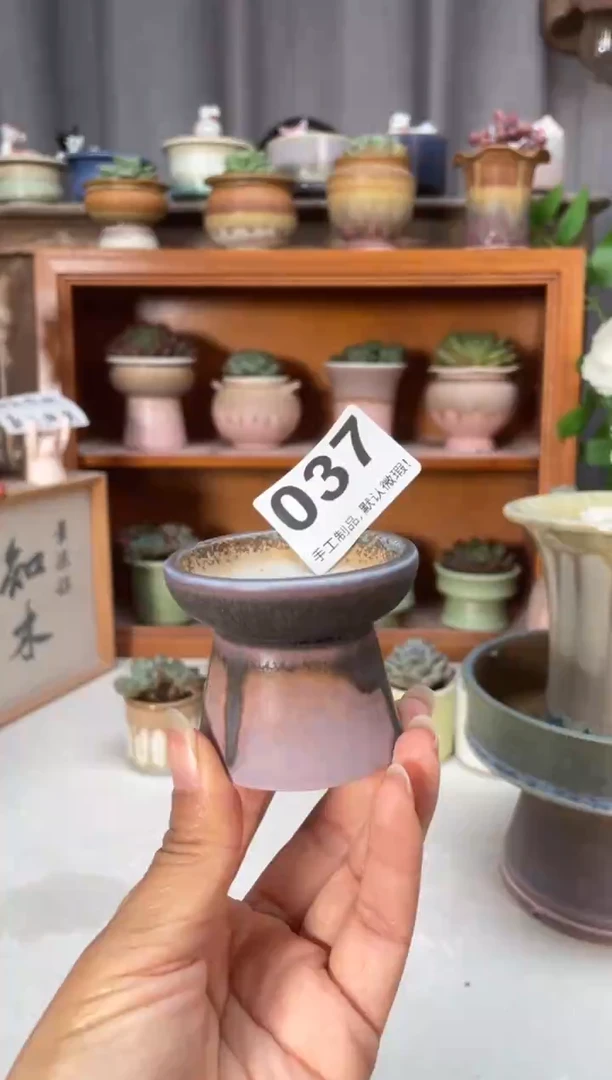 瓷片037小芳直播编号