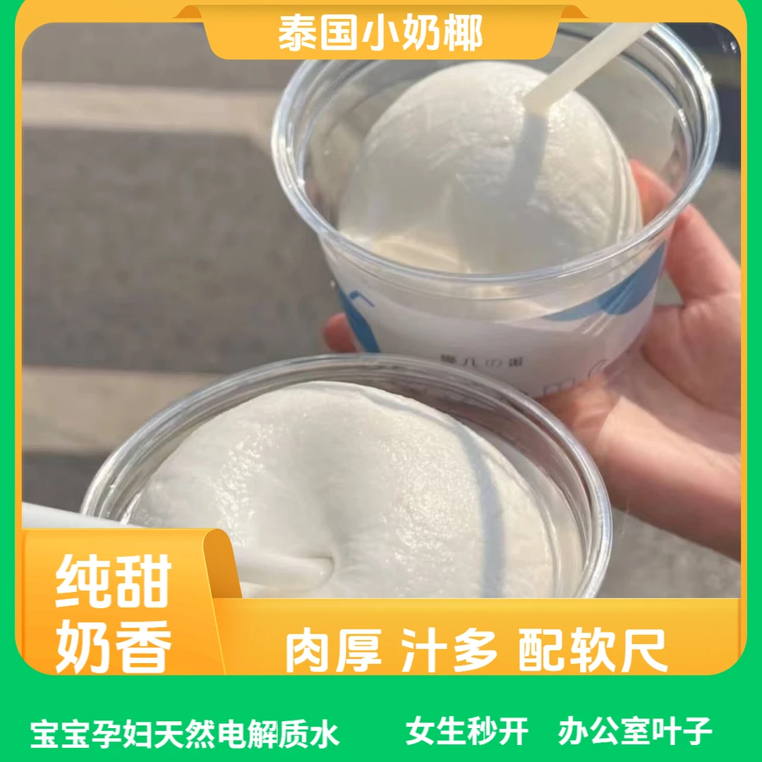 泰国牛奶椰皇新鲜小椰青当季香水椰王椰子鸡孕妇宝宝辅食水果