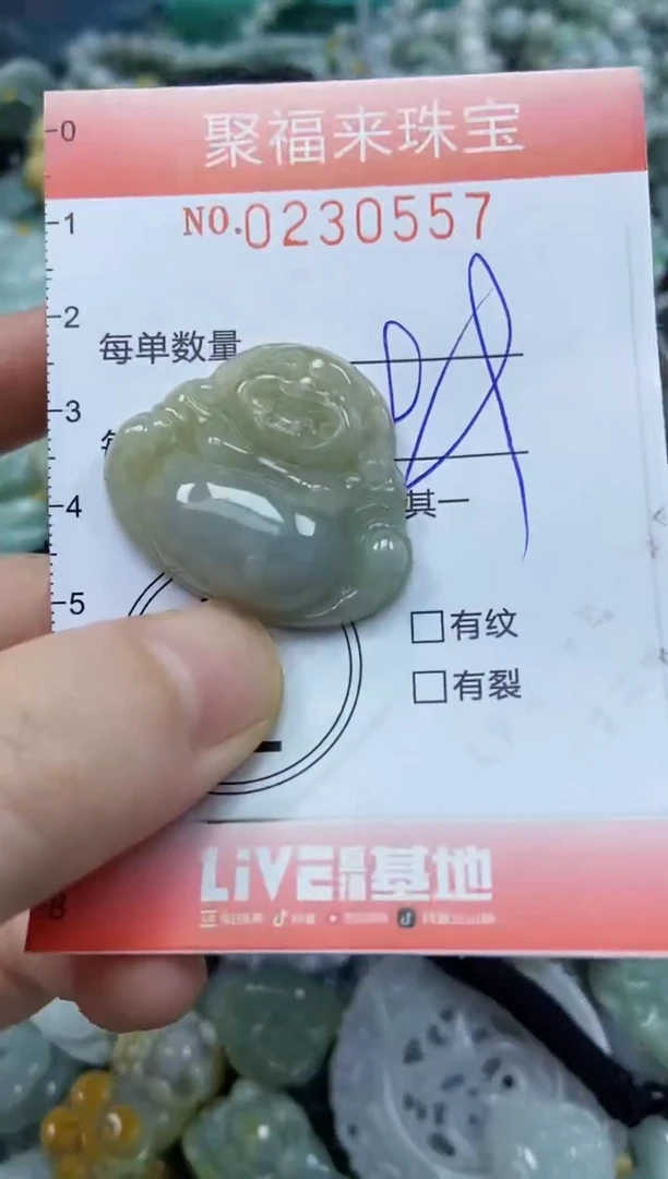 颈饰未镶嵌翡翠闪购0230557
