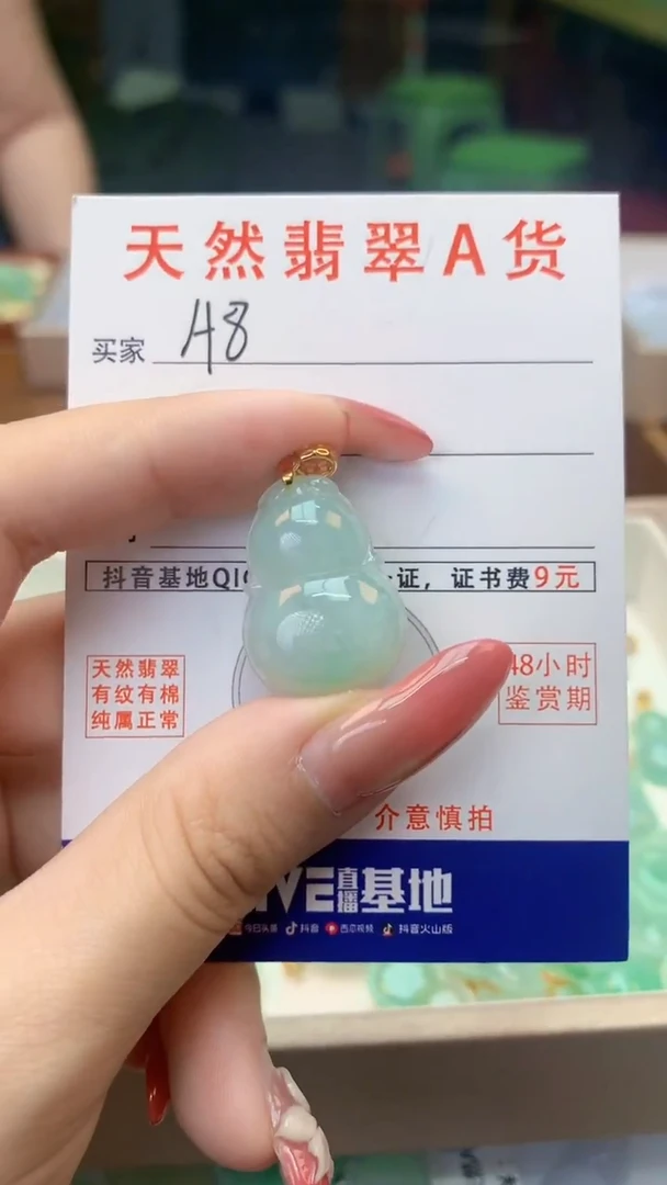 颈饰未镶嵌翡翠天然A货翡翠挂件
