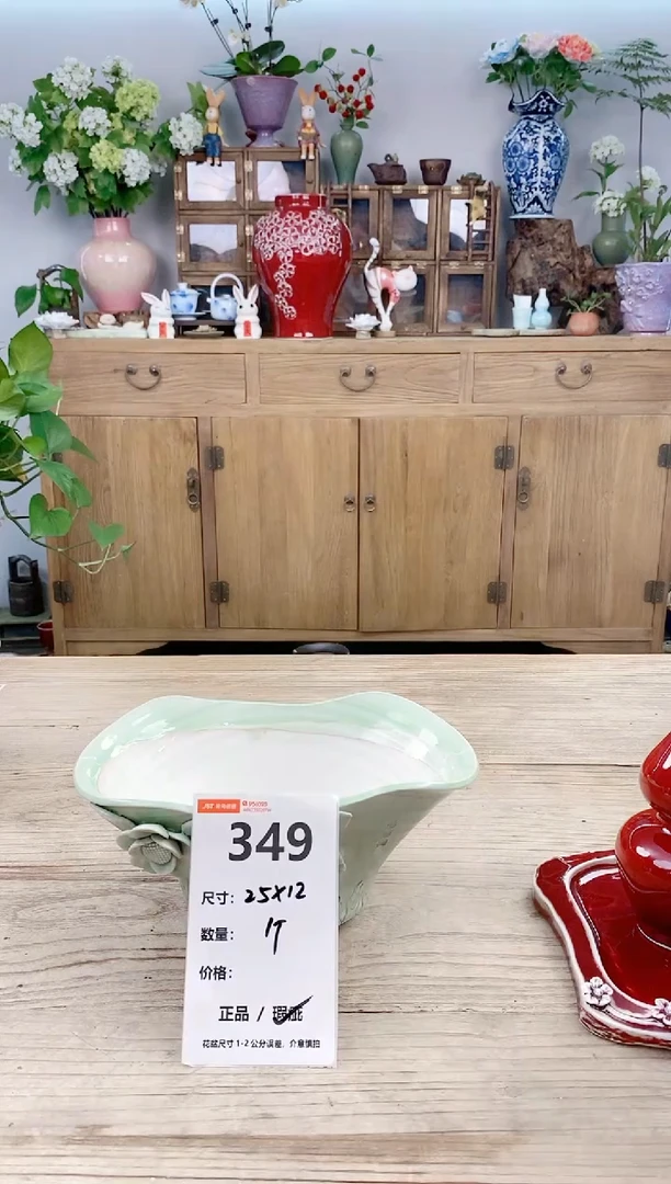 小玩子花盆直播号349