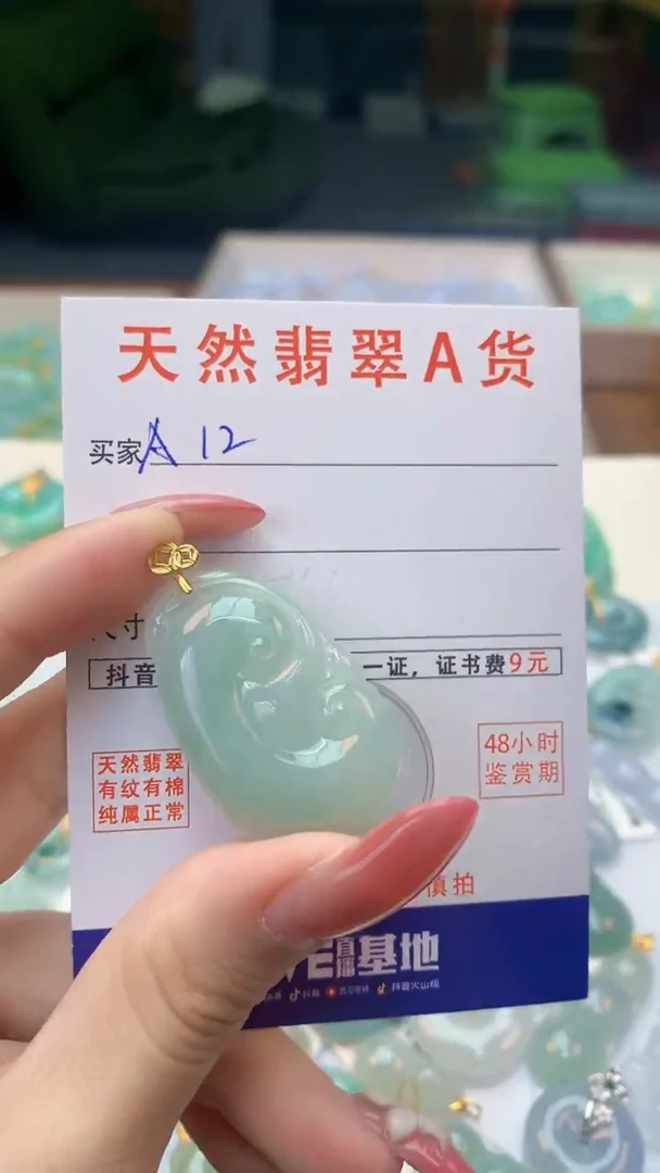 颈饰未镶嵌翡翠天然A货翡翠挂件