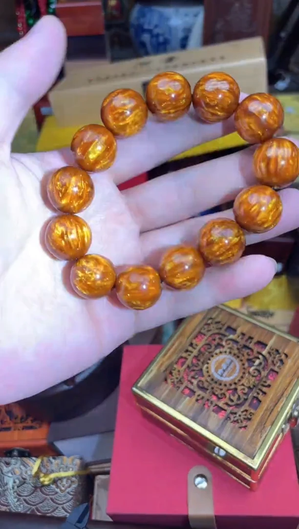 木-------------金海柳1.6