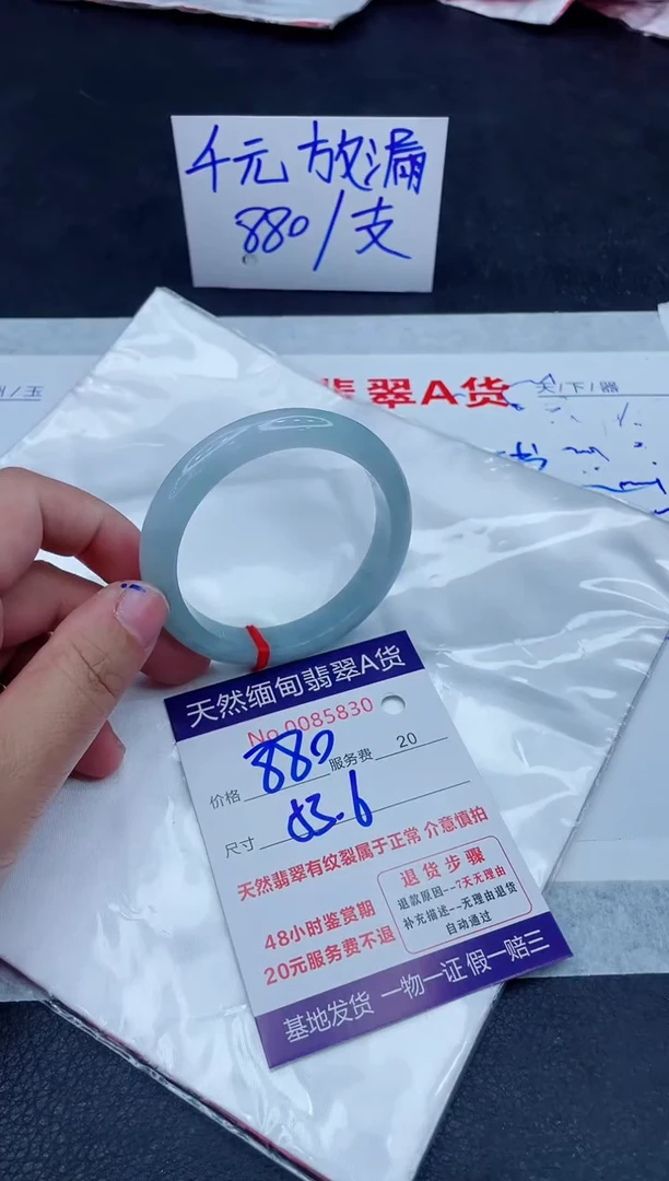 未镶嵌手镯翡翠880.00000