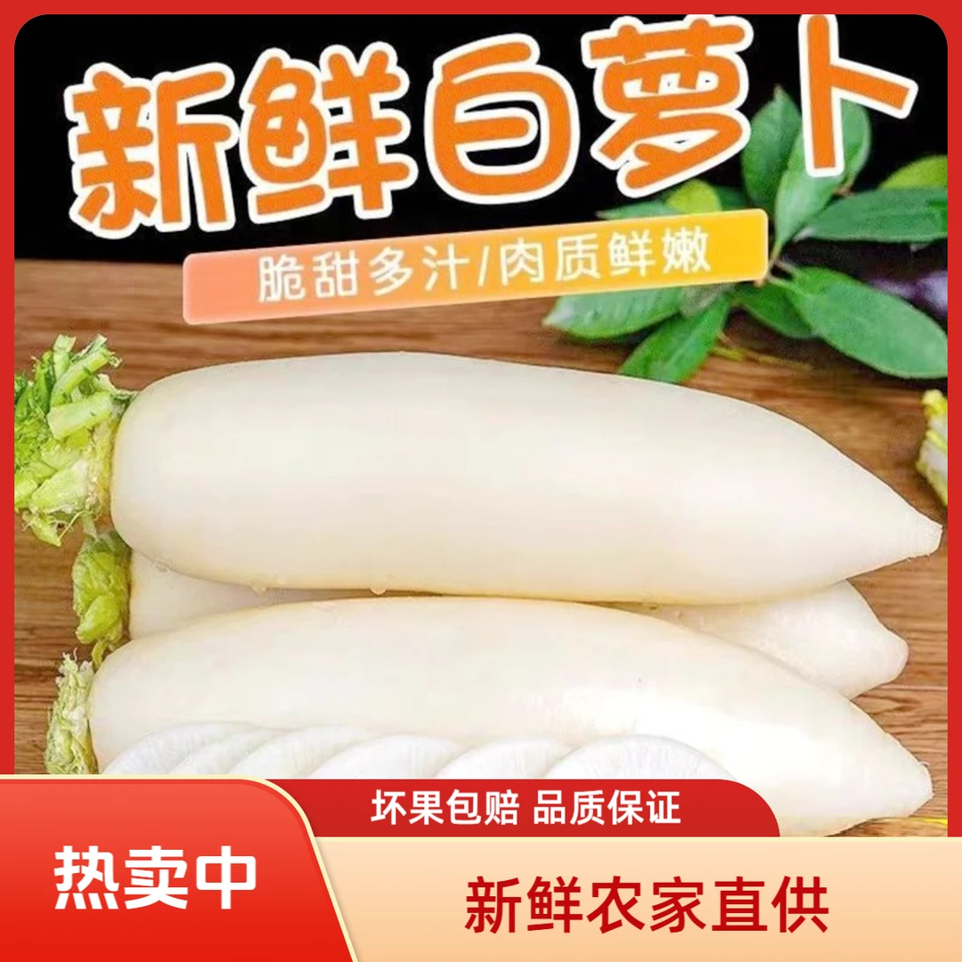 新鲜农家水洗白萝卜4.5-5斤