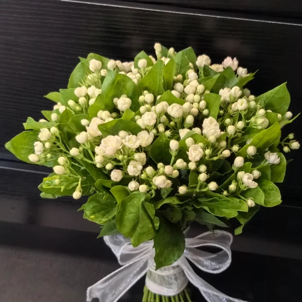 【茉莉花一扎】百搭配花 香气扑鼻 鲜花次日达批发直播品质鲜花 全场任意满两单顺丰包邮