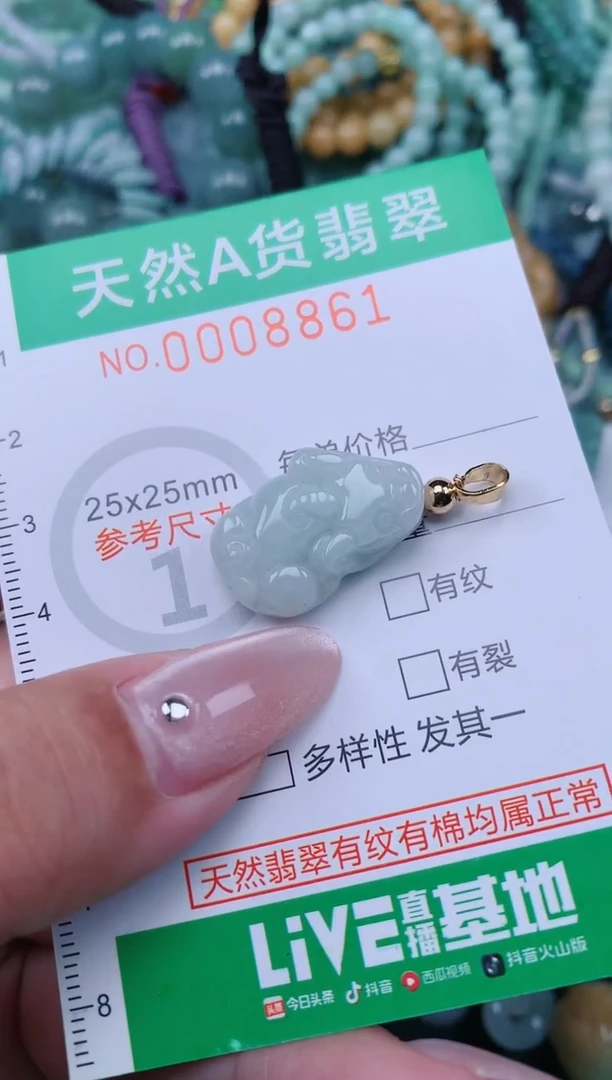 翡翠未镶嵌颈饰.0008861