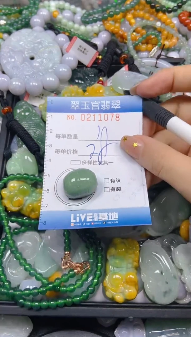 颈饰未镶嵌翡翠闪购C0211078