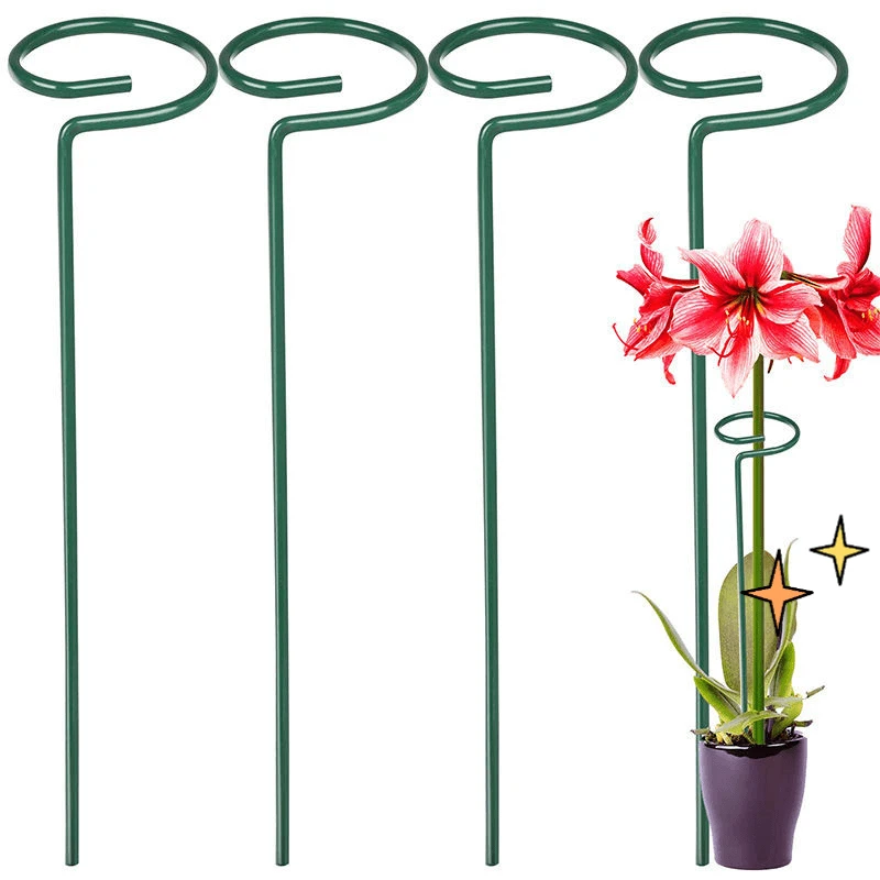 植物支撑绣球蝴蝶兰支撑花架子固定架月季爬藤防倒伏铁艺支撑花架