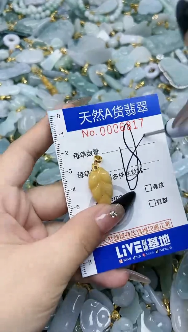 【闪购商品】翡翠颈饰未镶嵌天然A货翡翠