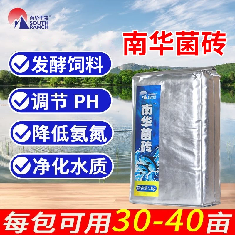 南华菌砖乳酸菌发酵砖发酵饲料鱼虾养殖