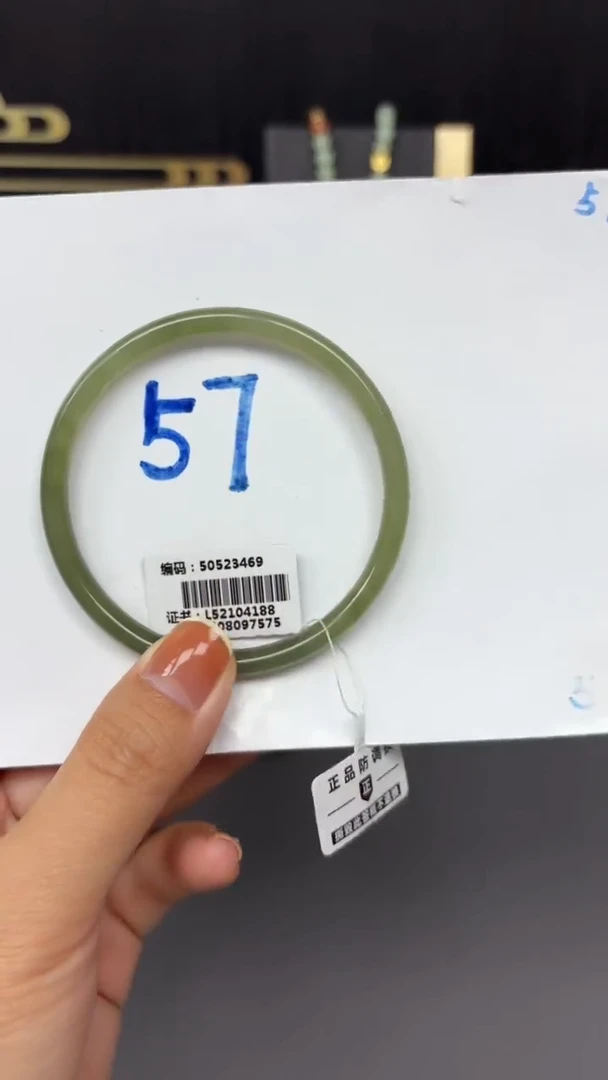 未镶嵌手镯和田玉3469