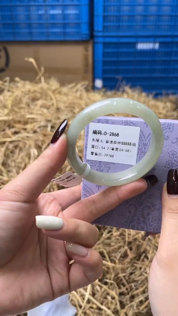 未镶嵌手镯石英质玉D-2868