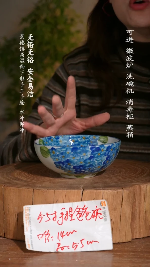 碗陶瓷景德镇高温瓷釉下彩手绘陶瓷