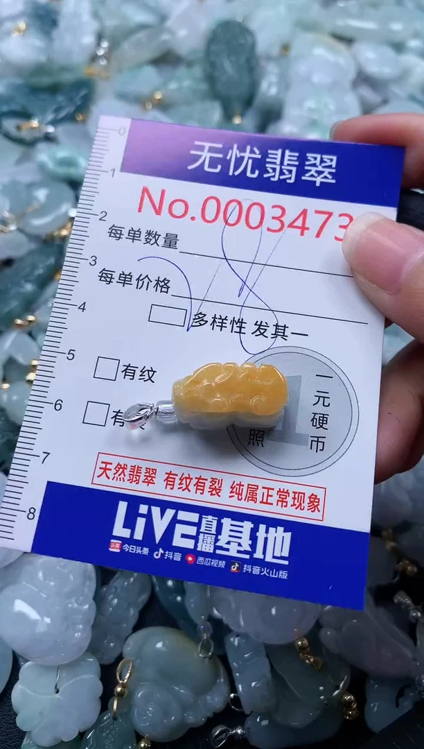 颈饰未镶嵌翡翠3473