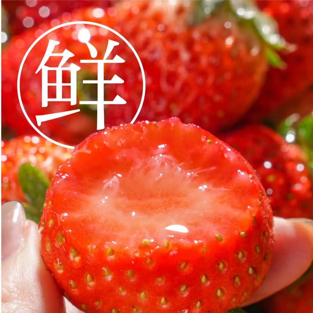 霸王果【35-50】丹东99新鲜现摘应季水果牛奶红颜草莓空运【LL】