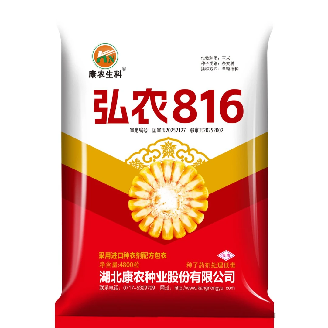 康农种业（弘农816）抗锈病、抗倒伏