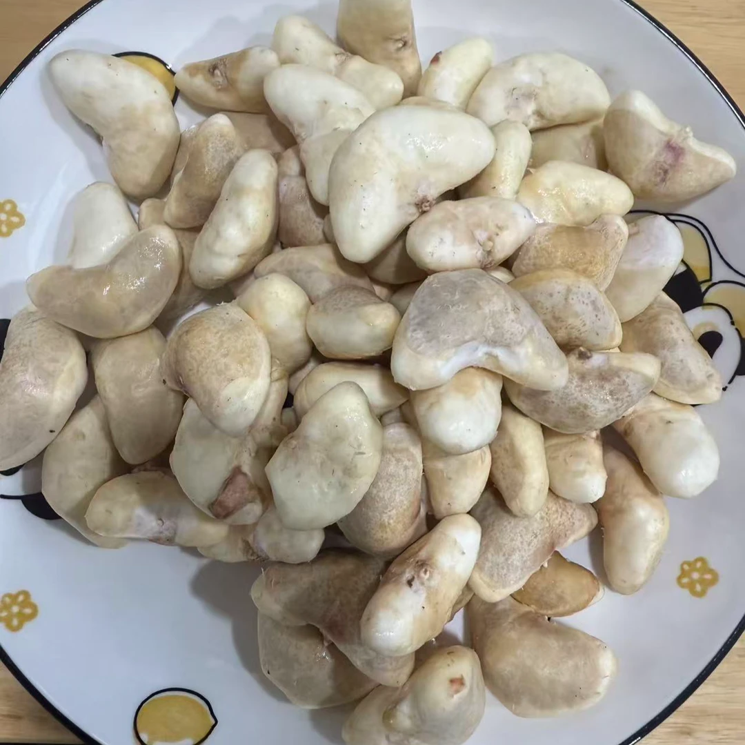 现剥去壳新鲜嫩菱角米