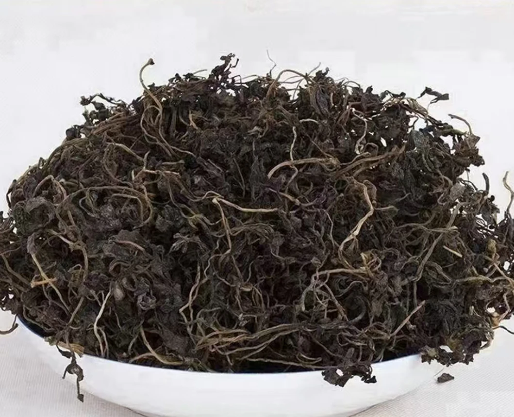 野生马齿苋干菜当季农家自晒野菜马齿菜马蜂菜干菜