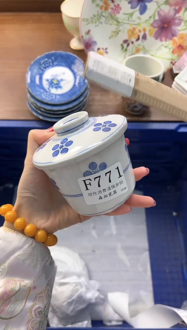 【闪购商品】瓷片----------F771