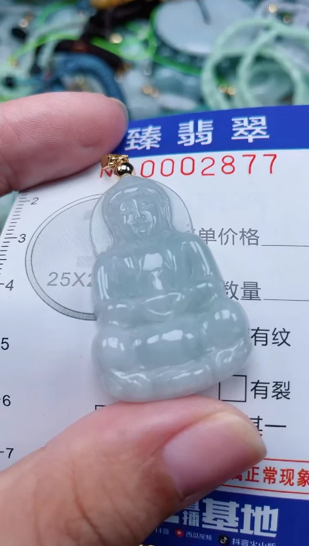 翡翠未镶嵌颈饰.0002877