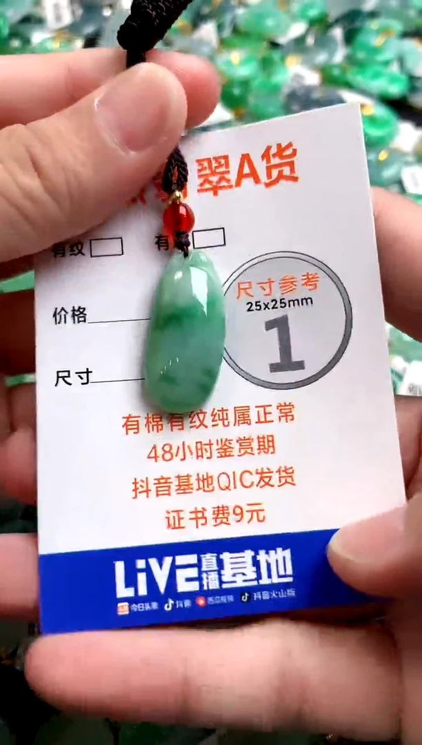 颈饰未镶嵌翡翠0147446207