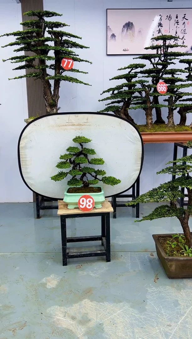 以实际为准98号000