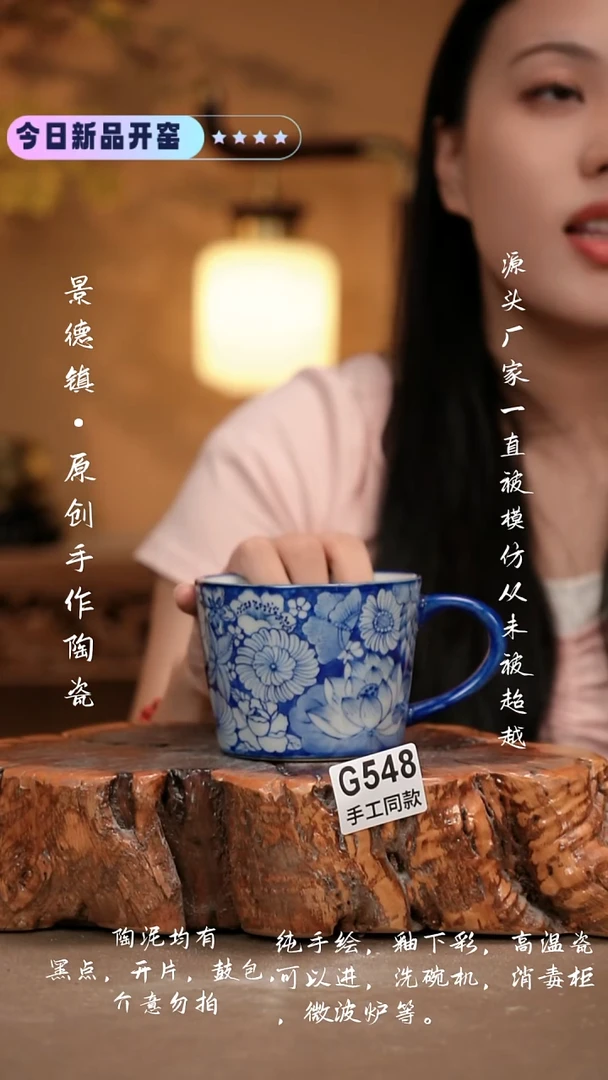 其他G548 新十二器