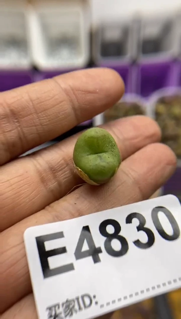 海****肉4830直播一物一拍