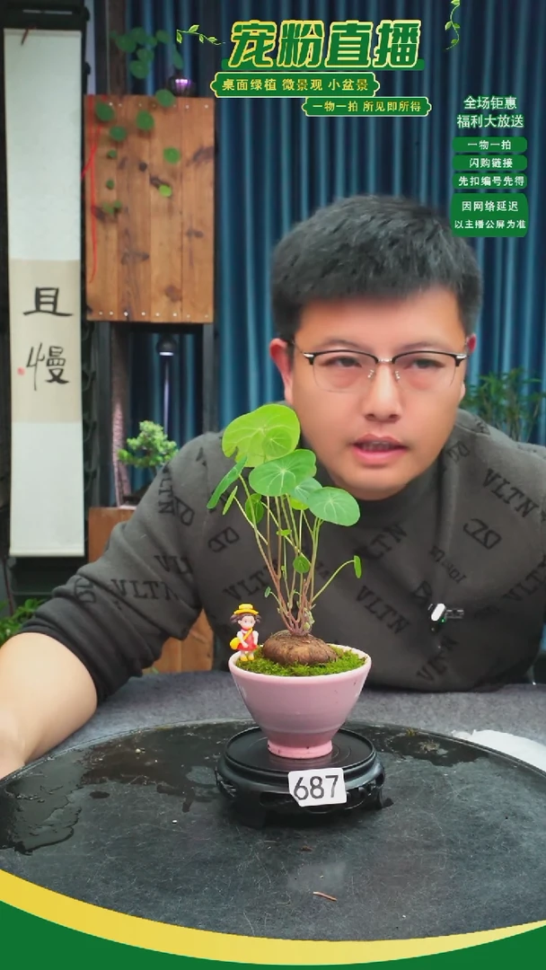 无花朵韩****…苔藓微景观687号