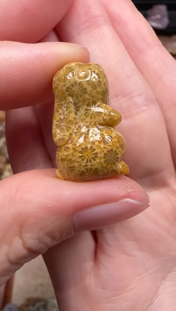 硅化珊瑚（珊瑚玉）未镶嵌颈饰797